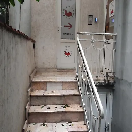 лидер хаус 瓦爾納